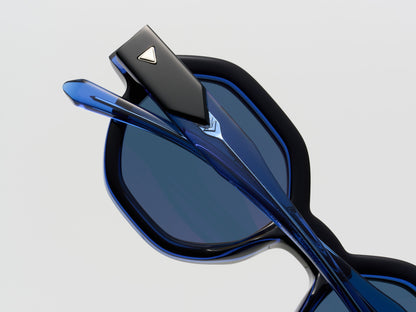 Dancer Blackbird - LE001 #color_blackbird-le001